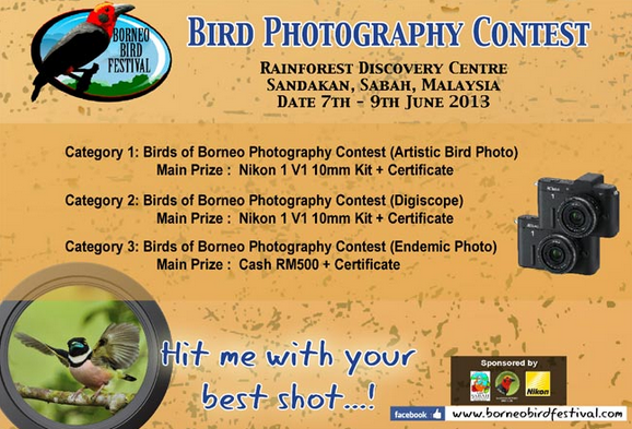 wpid-birdphotogcontest-2013-05-23-09-38.png